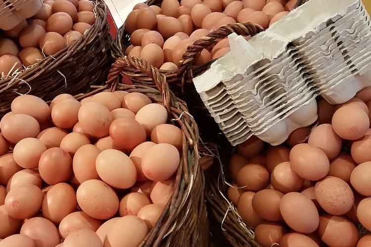 Haltbarkeit Eier – Wie lange sind Eier noch gut?