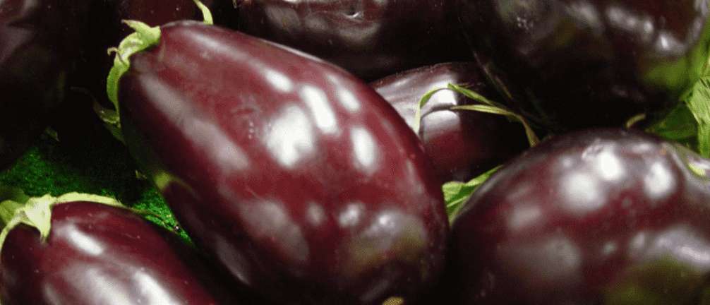 Die Aubergine – gesund, lecker und nährreich!