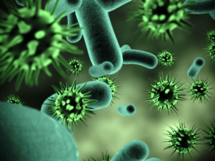 Viren und Bakterien – die bedeutendsten Unterschiede