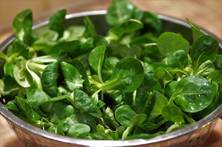 Feldsalat ist gesund – Vitamine, Mineralstoffe und mehr