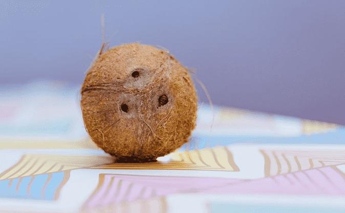 Kokosöl – gesund für Haare, Haut und Zähne! + Anwendung