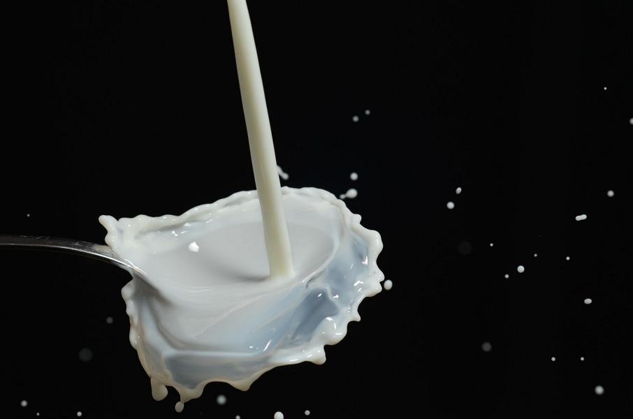Laktosefreie Milch – Unterschiede zu normaler Milch