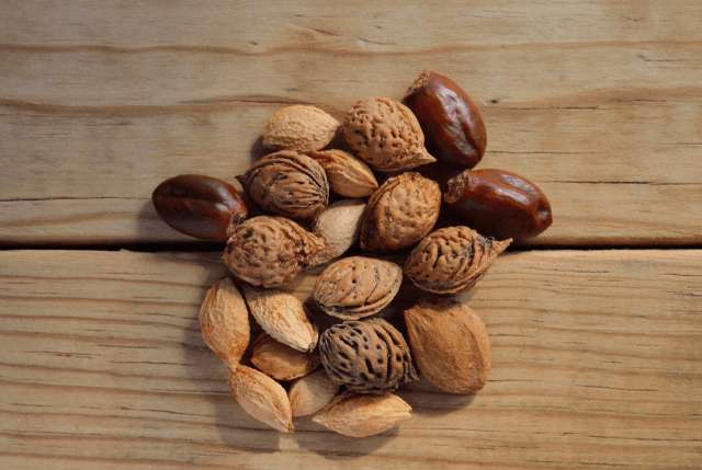 Nüße mit wenig Kohlenhydrate – Welche kannst du essen?