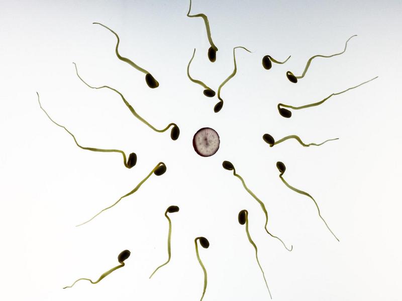 Sperma – Was sagt es über deine Gesundheit aus?