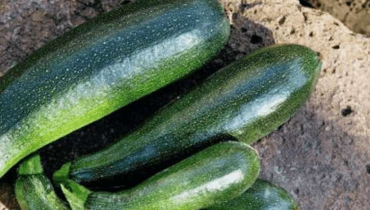 Sind Zucchini gesund? 12 gesundheitliche Vorteile + Nährstoffe